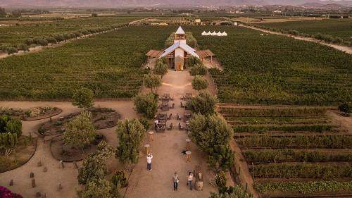 Finca La Carrodilla - Valle de Guadalupe - Baja California