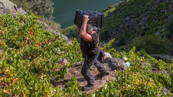 Ribeira Sacra 1