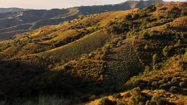 Sierras de Málaga 2