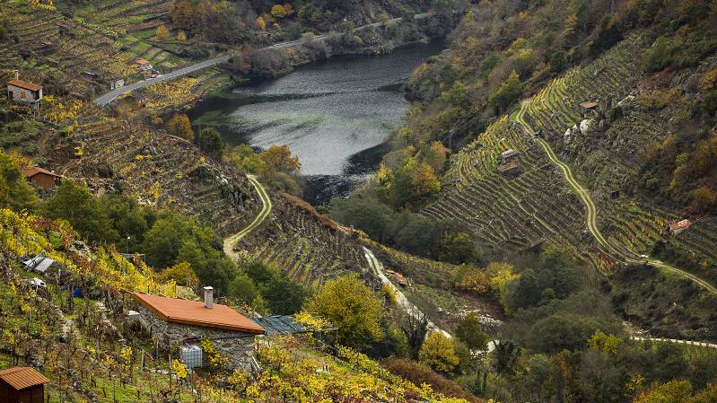 Ribeira Sacra 3