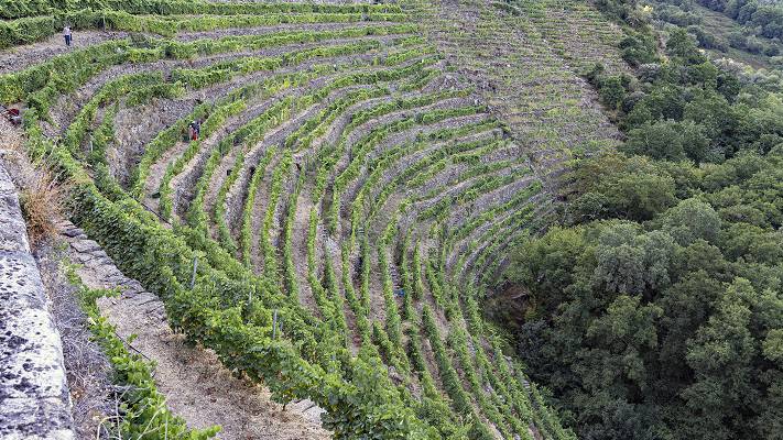 Ribeira Sacra 2